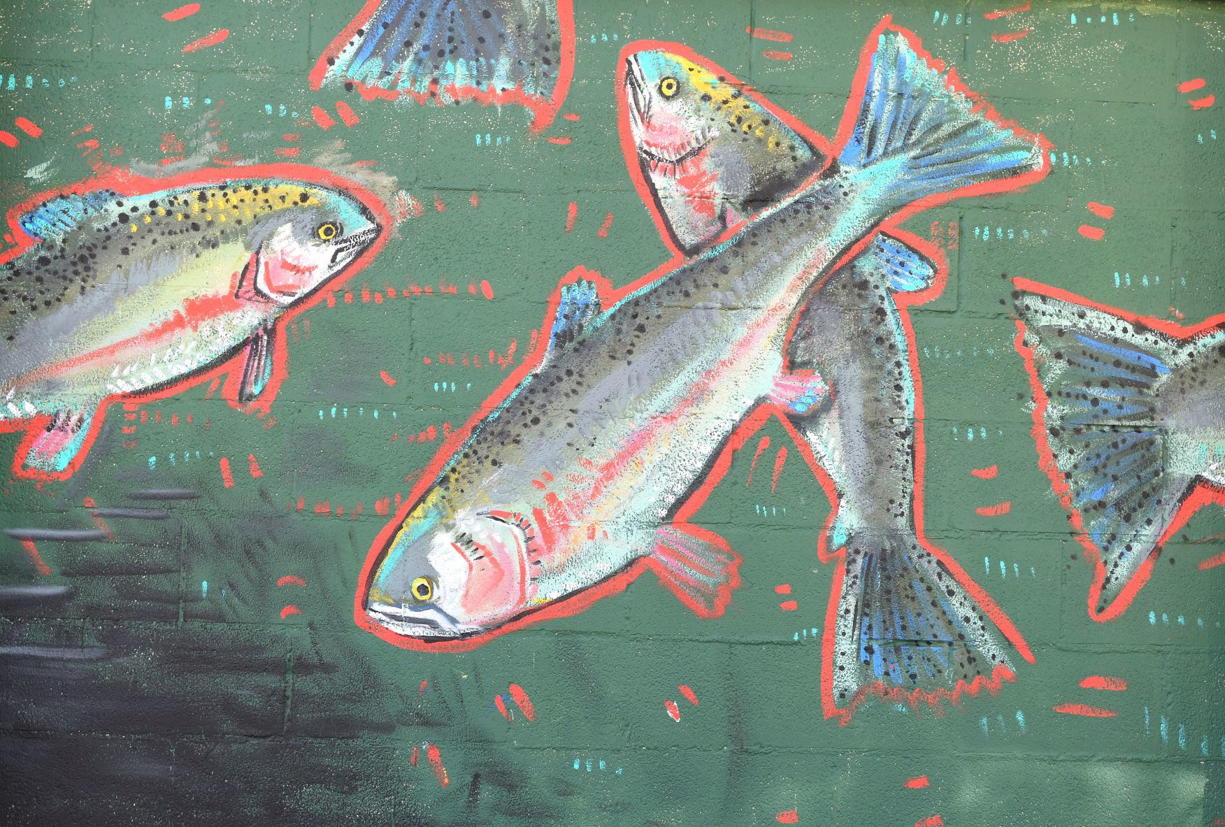Fish Facade